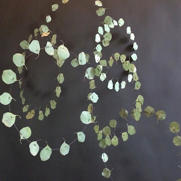 Vom Natur-Weben und Fädeln