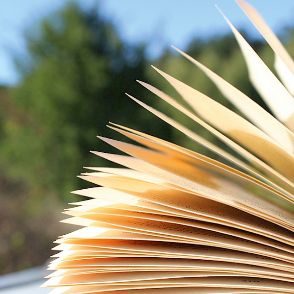 LifeScript® - Workshop zum Kennenlernen der Arbeitsweise