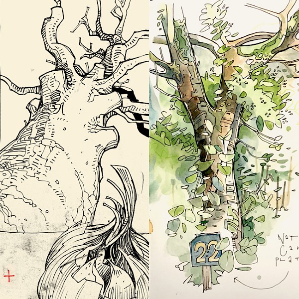 Zeichnen lernen, Farbe erleben – Grundlagen mit Stift und Aquarell