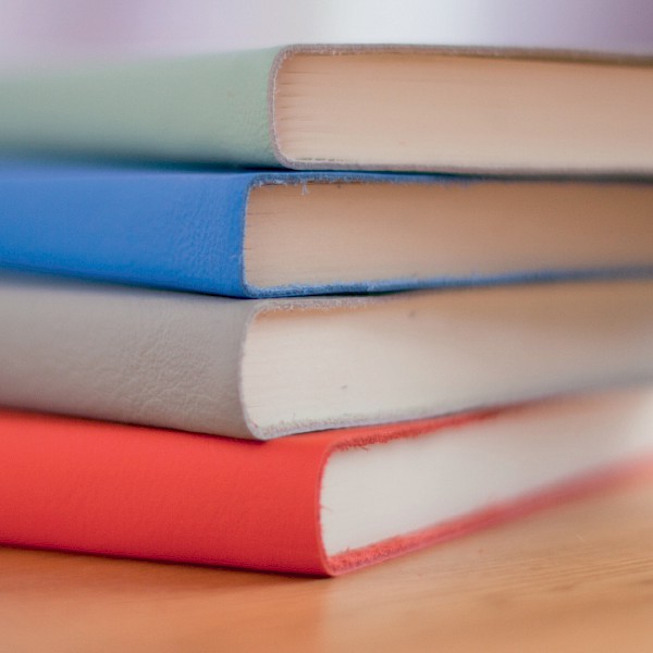 Life Script®-Biografiearbeit Ausbildungsjahrgang 8